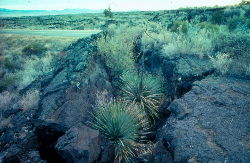 미국 애리조나주에서 촬영한 풍경 사진