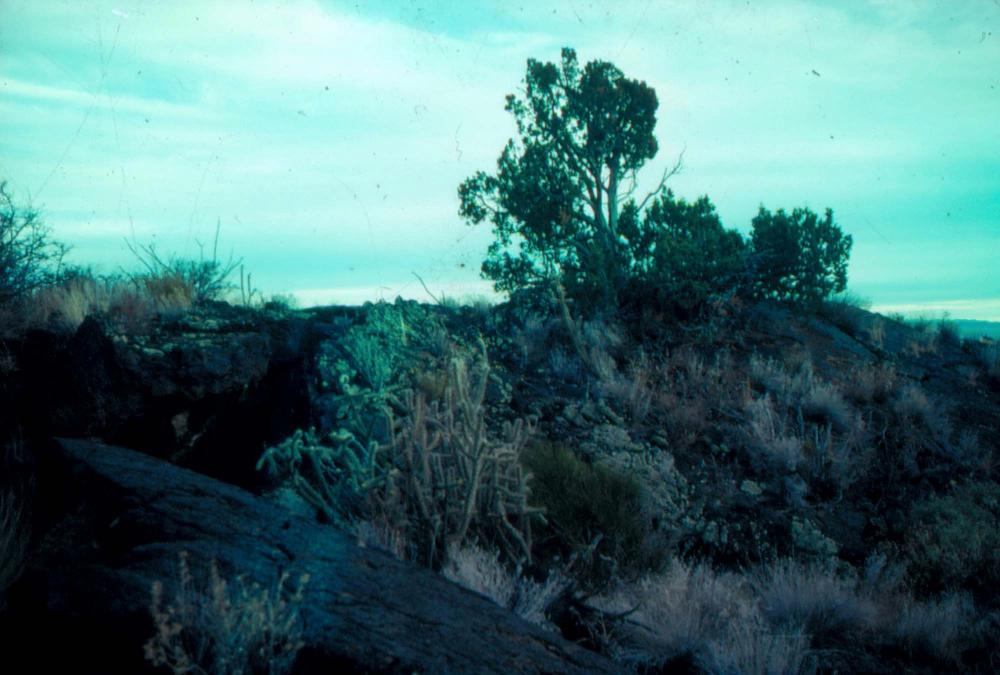 미국 애리조나주에서 촬영한 풍경 사진