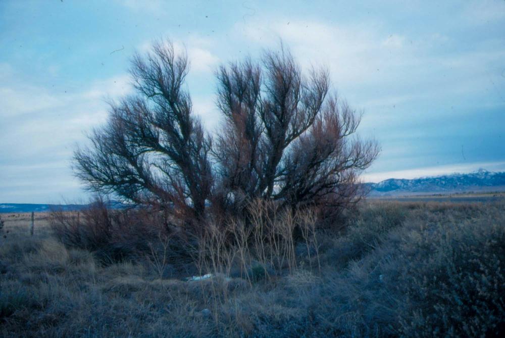 미국 애리조나주에서 촬영한 풍경 사진