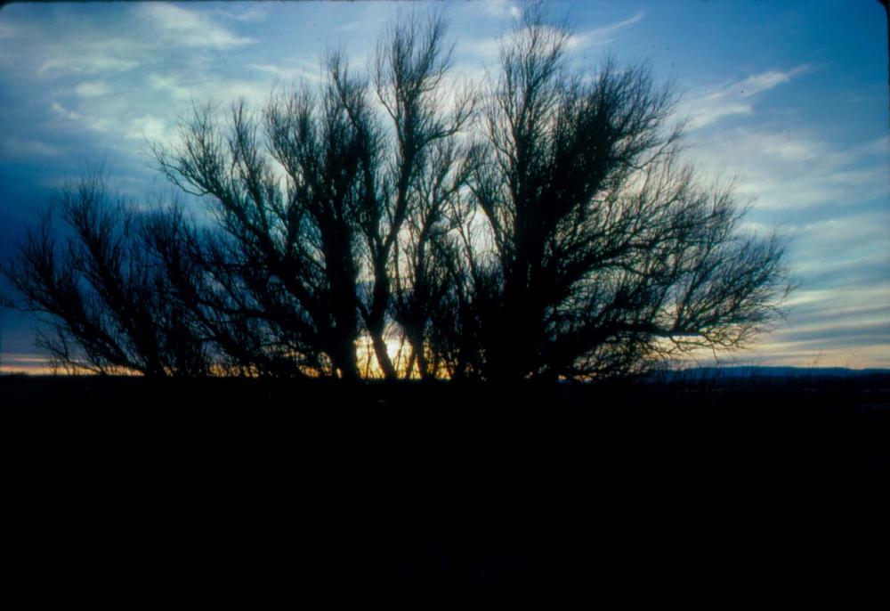 미국 애리조나주에서 촬영한 풍경 사진