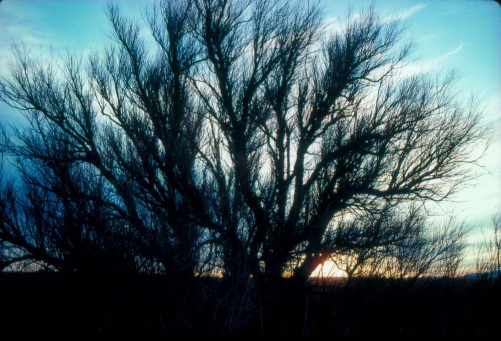 미국 애리조나주에서 촬영한 풍경 사진