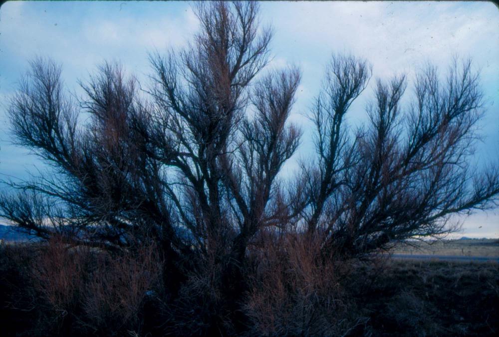 미국 애리조나주에서 촬영한 풍경 사진