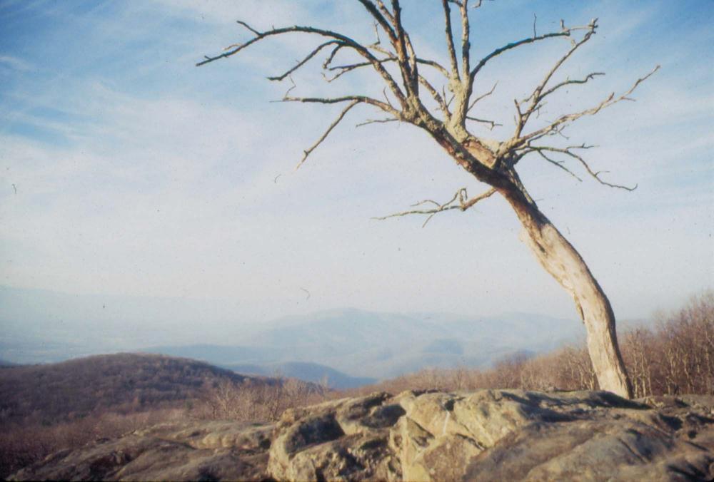 미국 애리조나주에서 촬영한 풍경 사진