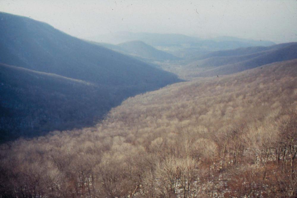 미국 애리조나주에서 촬영한 풍경 사진