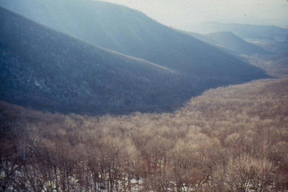 미국 애리조나주에서 촬영한 풍경 사진