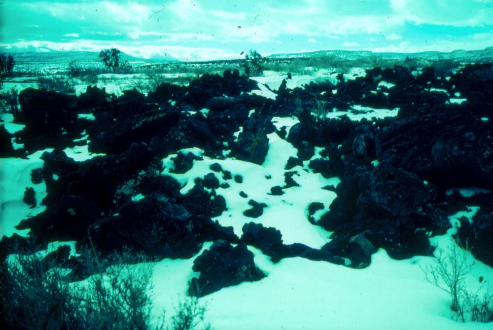 미국 애리조나주에서 촬영한 풍경 사진