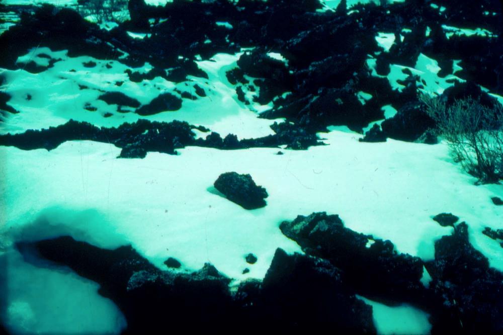 미국 애리조나주에서 촬영한 풍경 사진