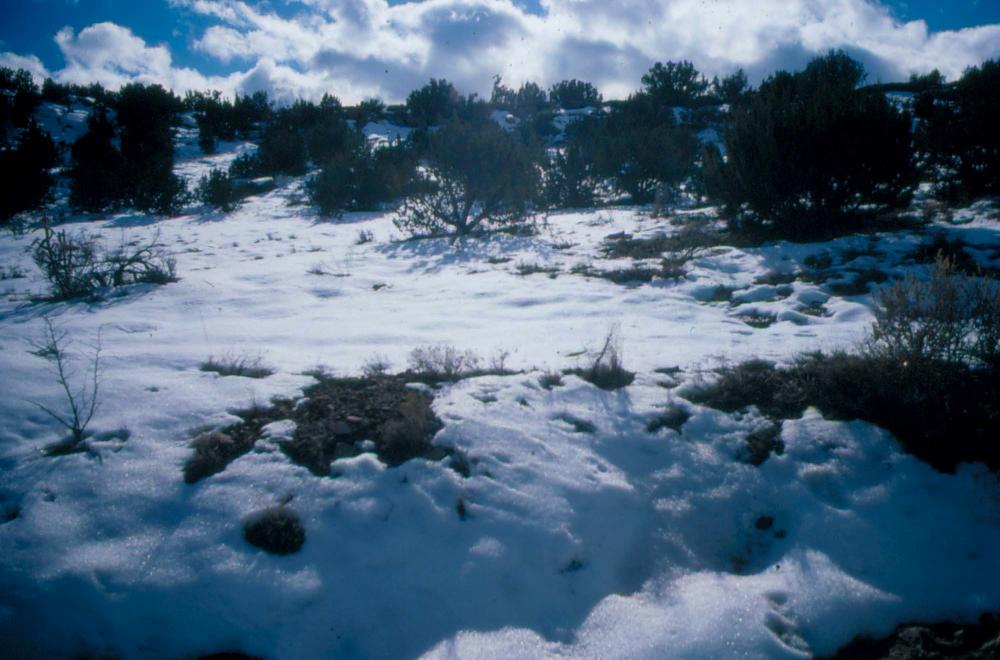 미국 애리조나주에서 촬영한 풍경 사진