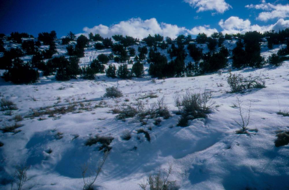 미국 애리조나주에서 촬영한 풍경 사진