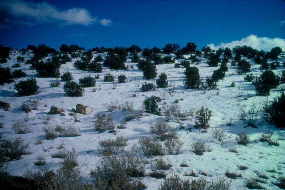 미국 애리조나주에서 촬영한 풍경 사진