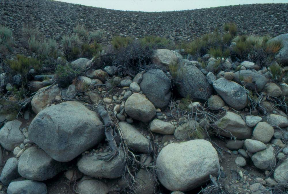 김차섭이 촬영한 국내외 풍경 사진 6