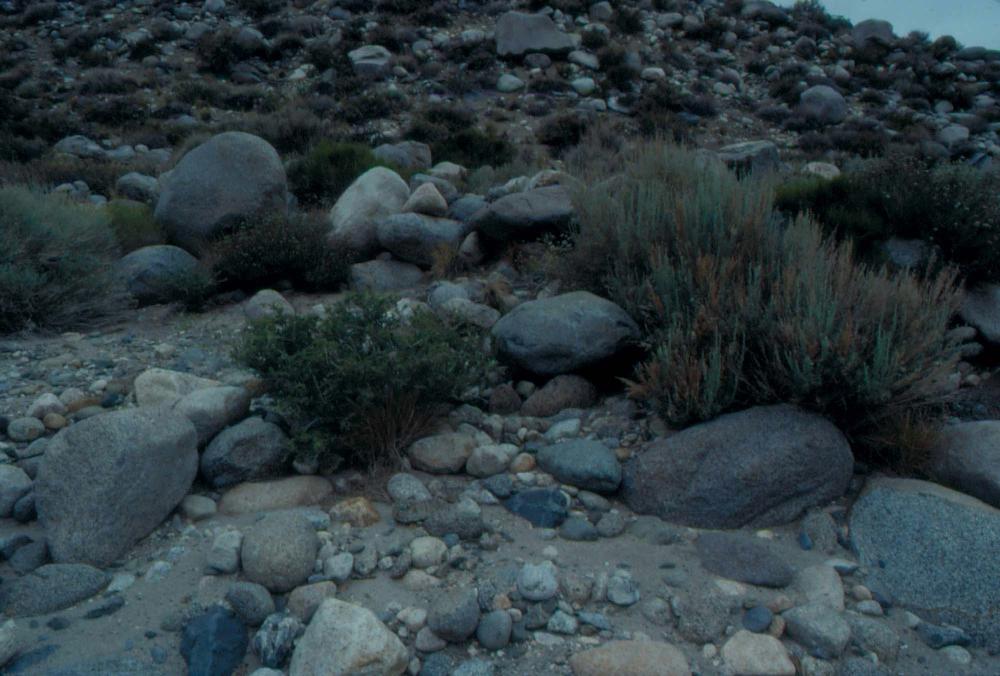 김차섭이 촬영한 국내외 풍경 사진