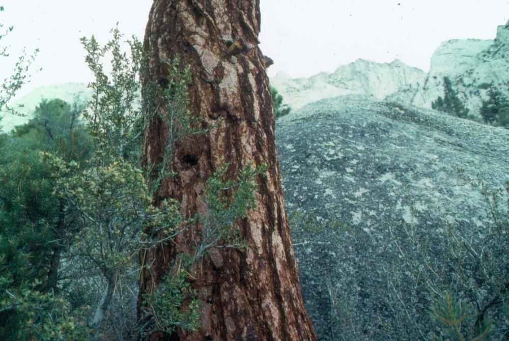 김차섭이 촬영한 국내외 풍경 사진