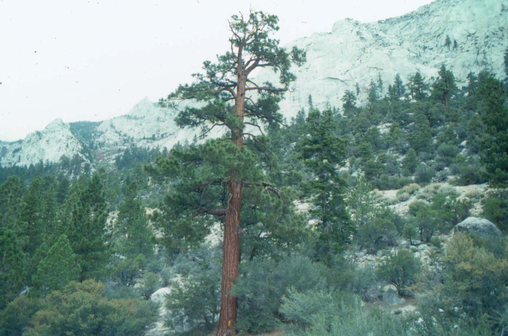 김차섭이 촬영한 국내외 풍경 사진