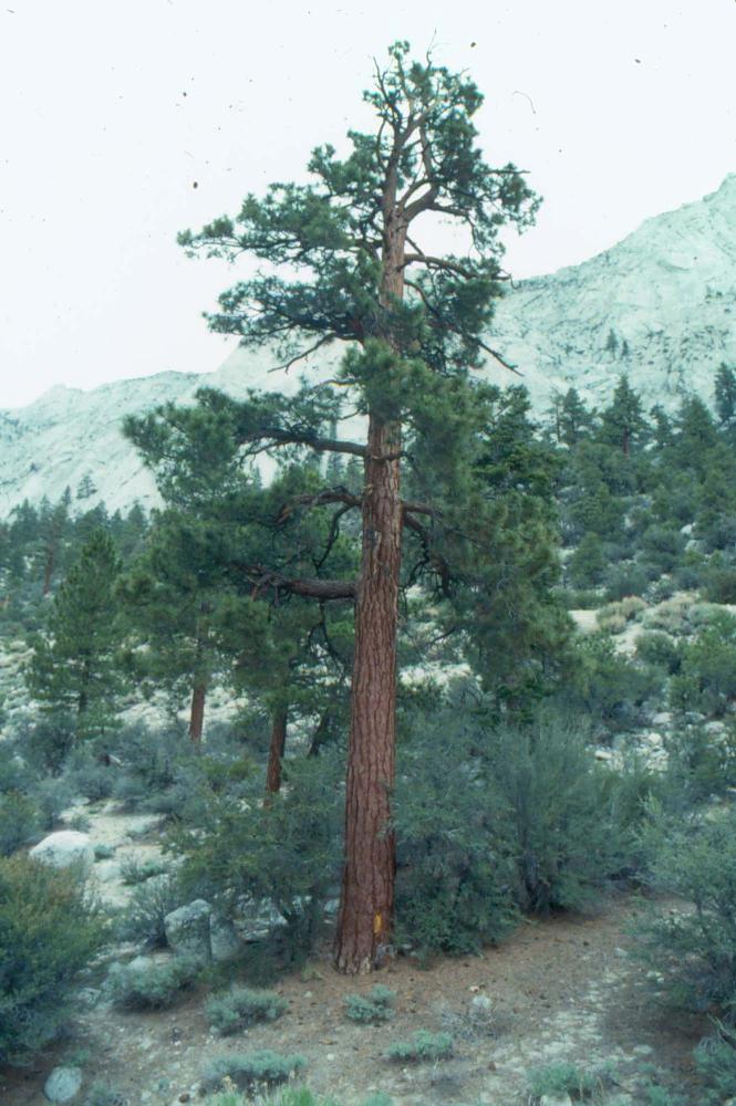 김차섭이 촬영한 국내외 풍경 사진