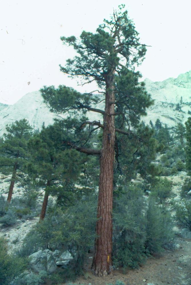 김차섭이 촬영한 국내외 풍경 사진