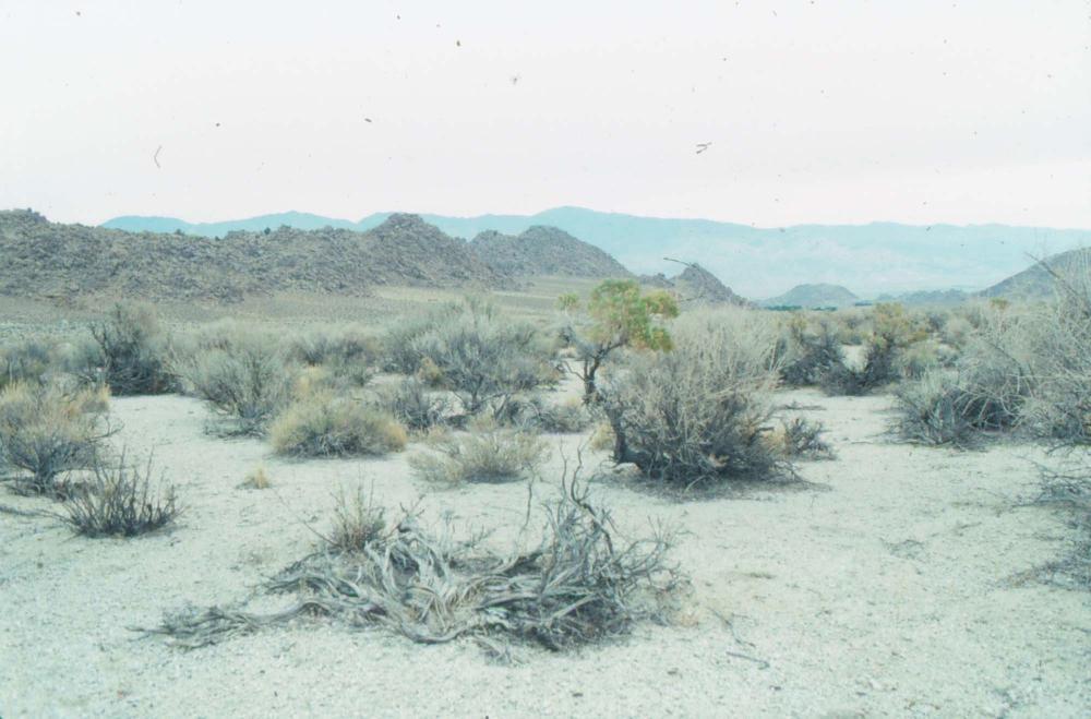 김차섭이 촬영한 국내외 풍경 사진