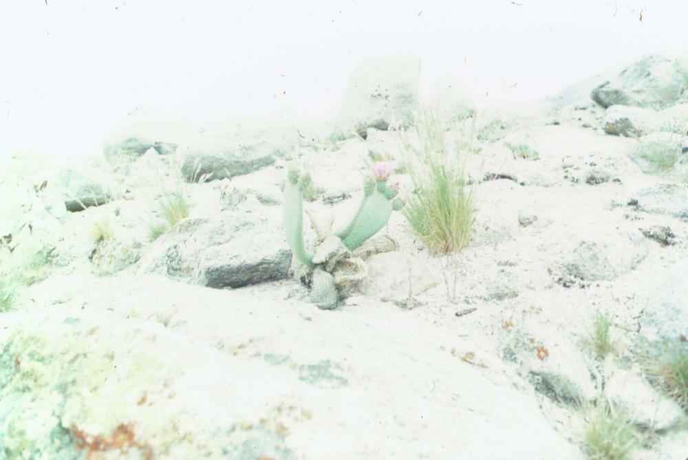 김차섭이 촬영한 국내외 풍경 사진