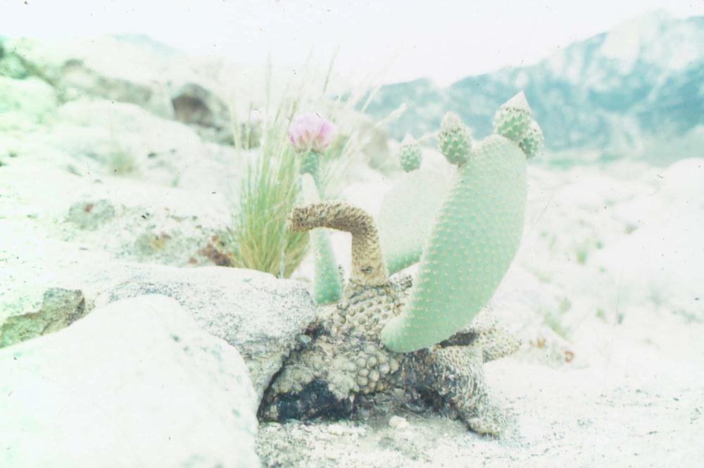김차섭이 촬영한 국내외 풍경 사진