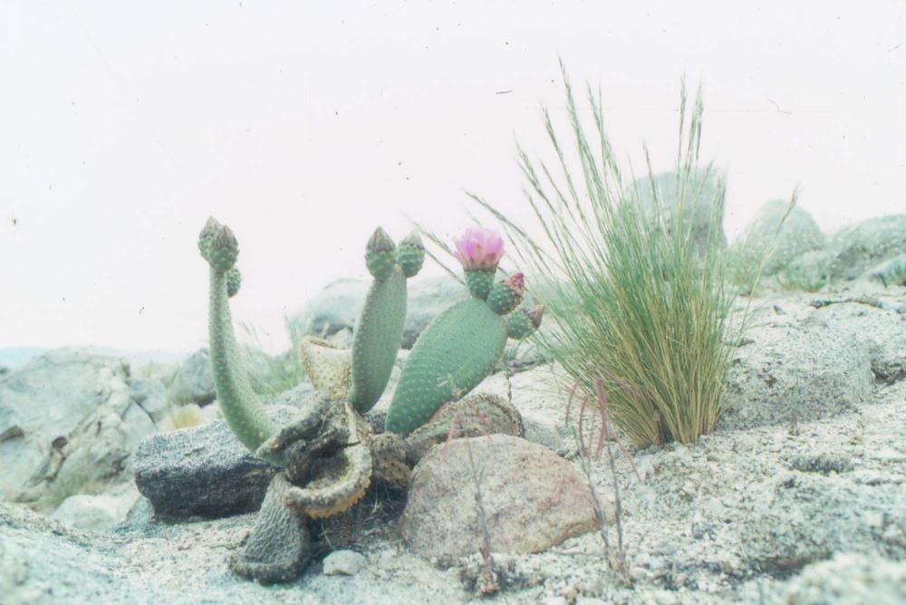 김차섭이 촬영한 국내외 풍경 사진