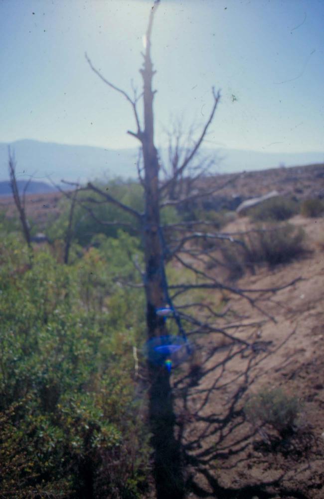 김차섭이 촬영한 국내외 풍경 사진