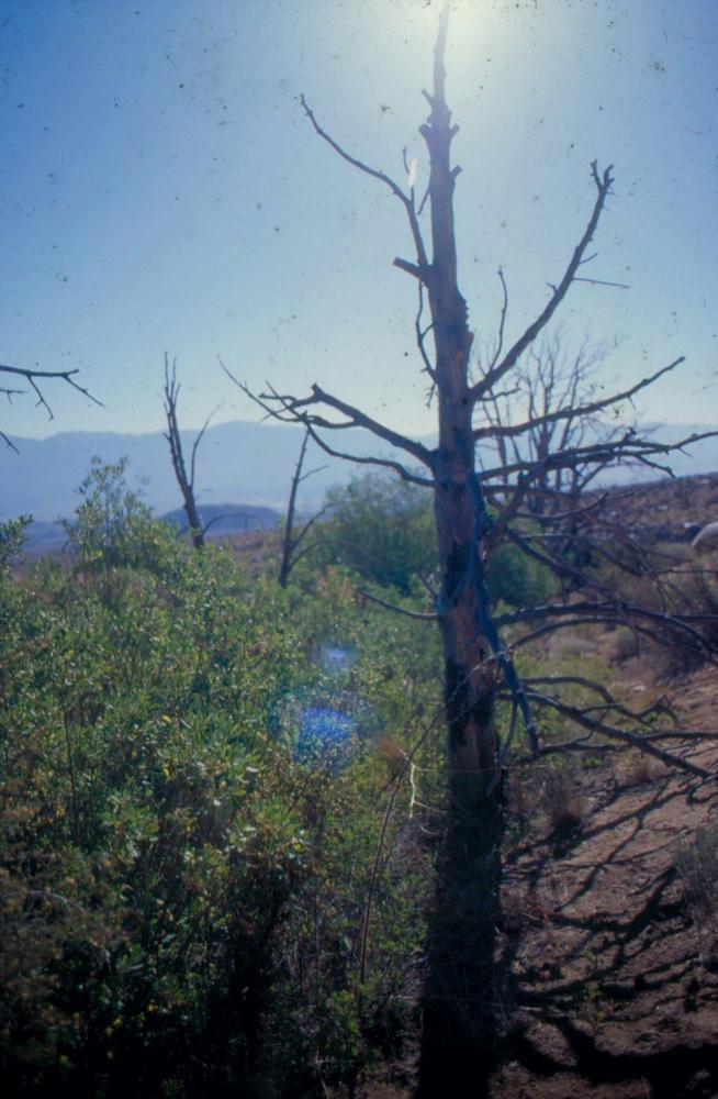 김차섭이 촬영한 국내외 풍경 사진