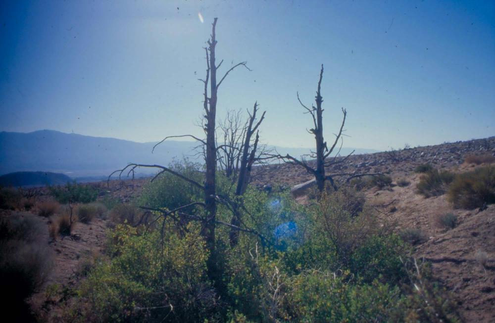 김차섭이 촬영한 국내외 풍경 사진