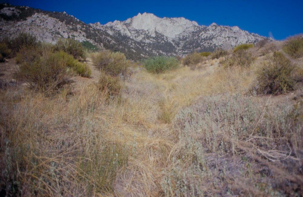 김차섭이 촬영한 국내외 풍경 사진