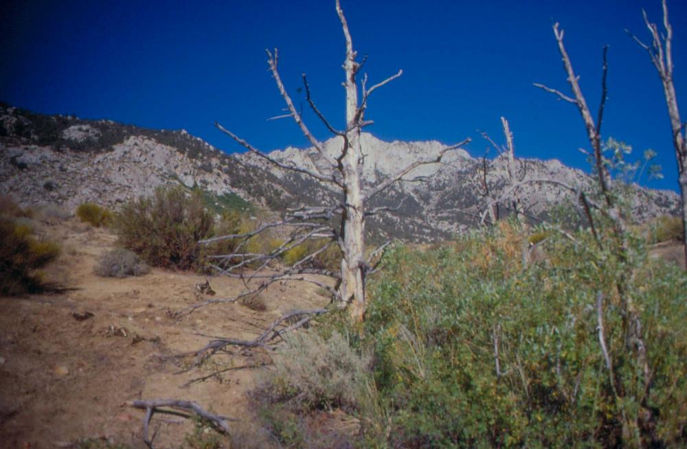 김차섭이 촬영한 국내외 풍경 사진