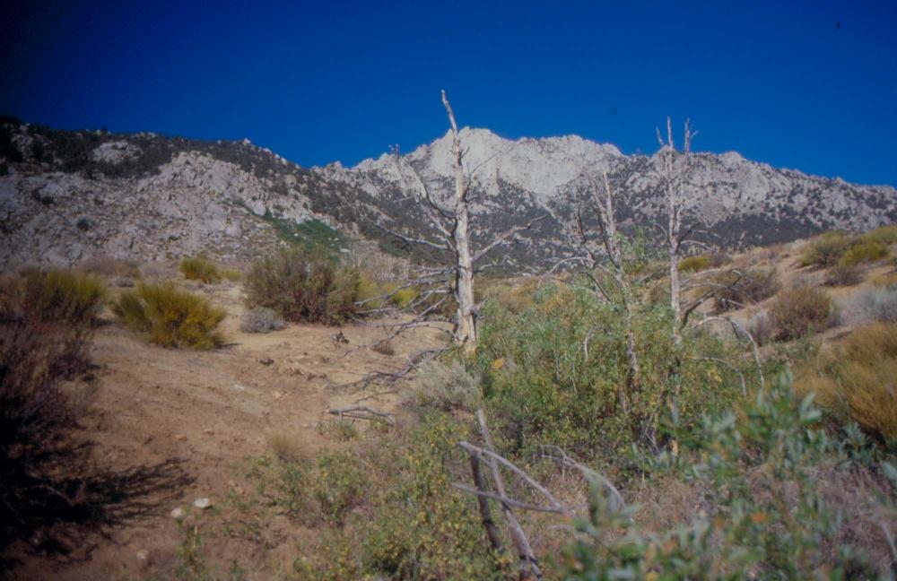 김차섭이 촬영한 국내외 풍경 사진