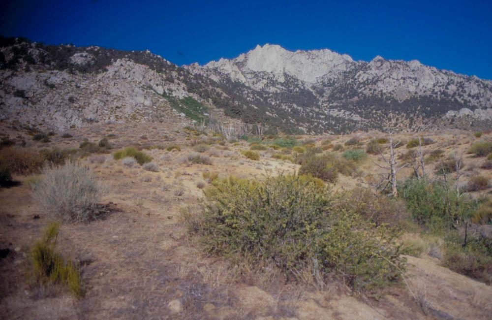 김차섭이 촬영한 국내외 풍경 사진