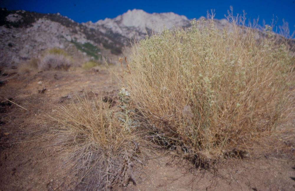 김차섭이 촬영한 국내외 풍경 사진