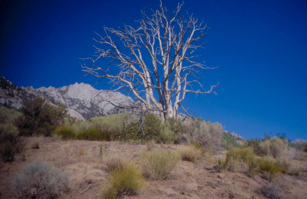 김차섭이 촬영한 국내외 풍경 사진