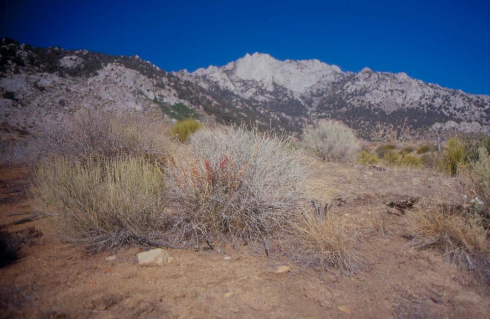 김차섭이 촬영한 국내외 풍경 사진