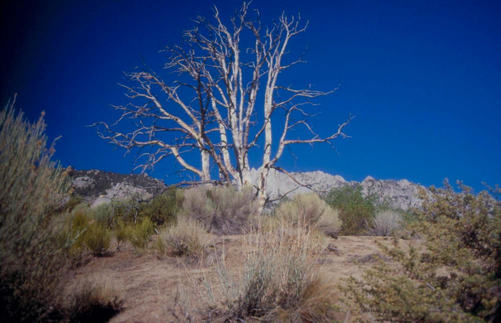 김차섭이 촬영한 국내외 풍경 사진