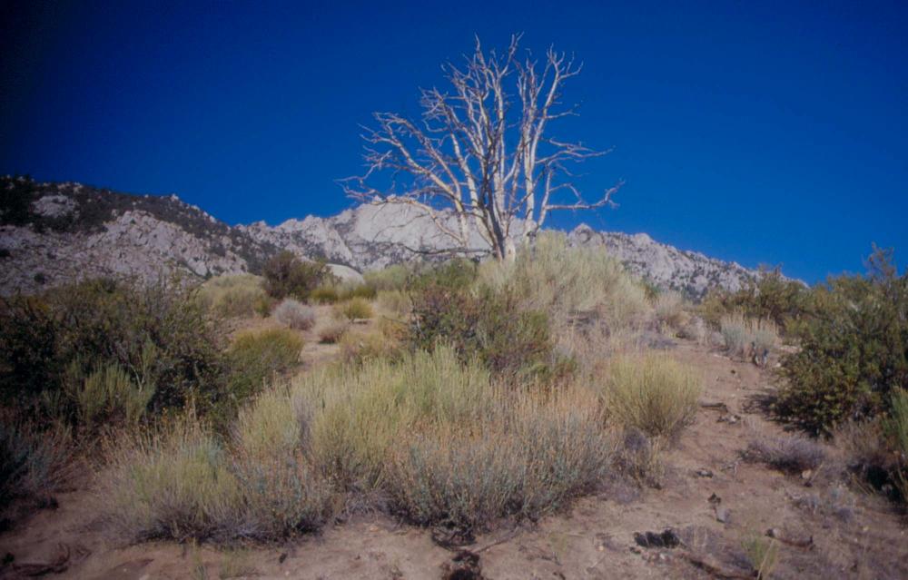 김차섭이 촬영한 국내외 풍경 사진