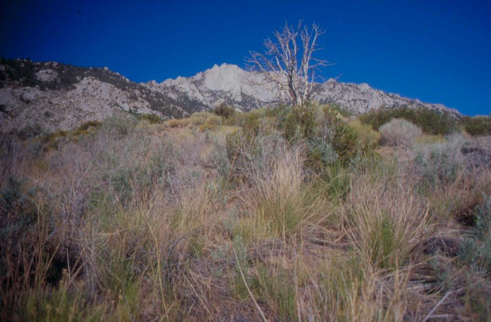 김차섭이 촬영한 국내외 풍경 사진