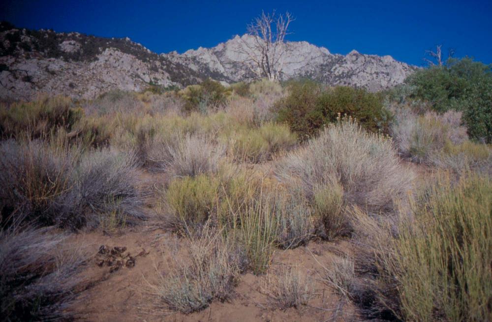 김차섭이 촬영한 국내외 풍경 사진