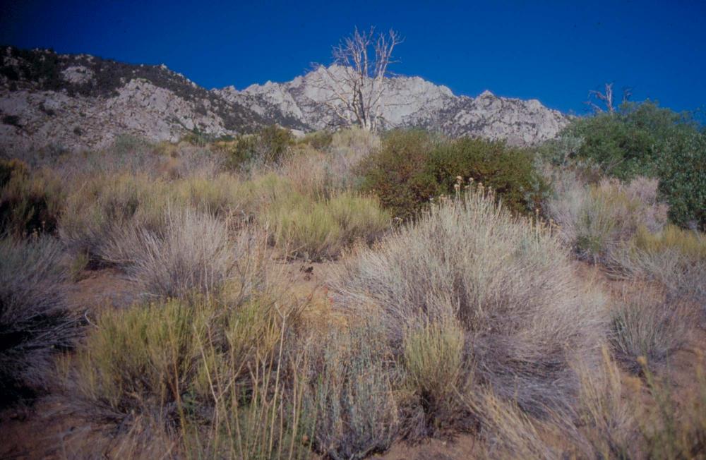 김차섭이 촬영한 국내외 풍경 사진