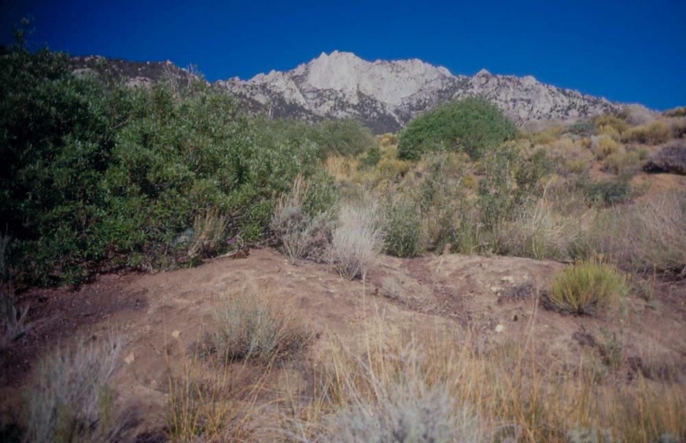 김차섭이 촬영한 국내외 풍경 사진