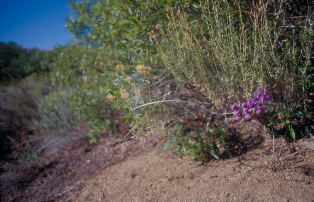 김차섭이 촬영한 국내외 풍경 사진