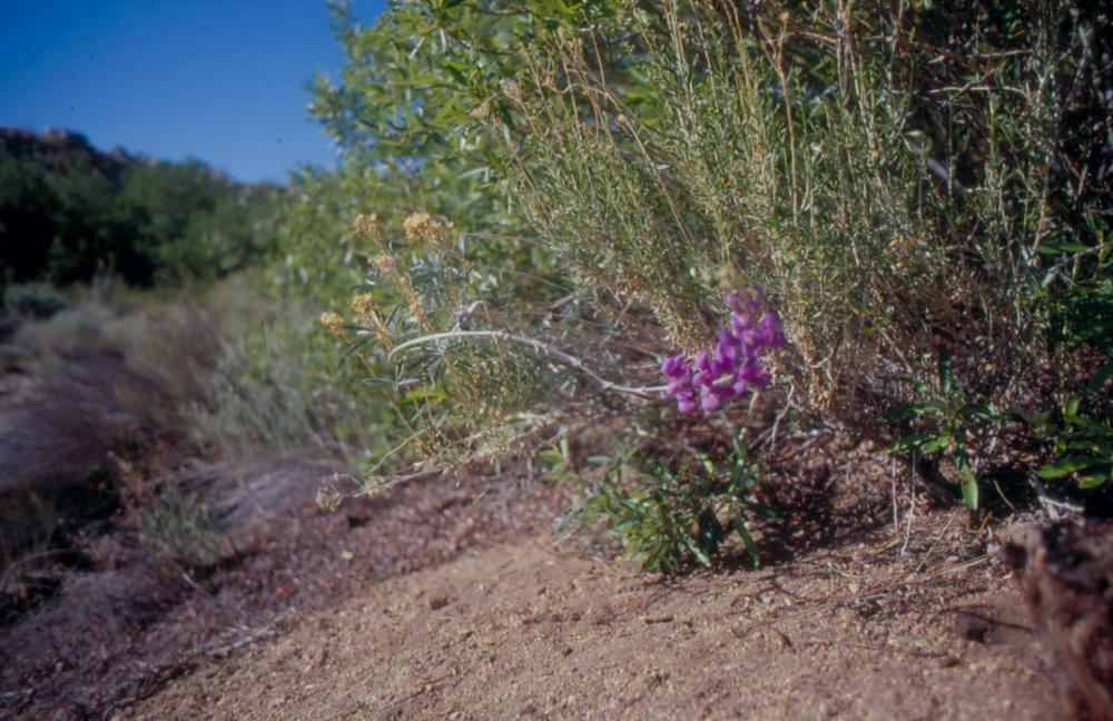 김차섭이 촬영한 국내외 풍경 사진