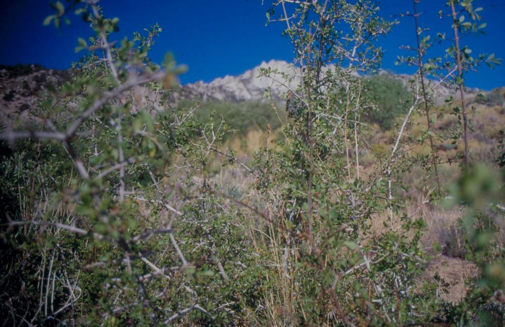 김차섭이 촬영한 국내외 풍경 사진