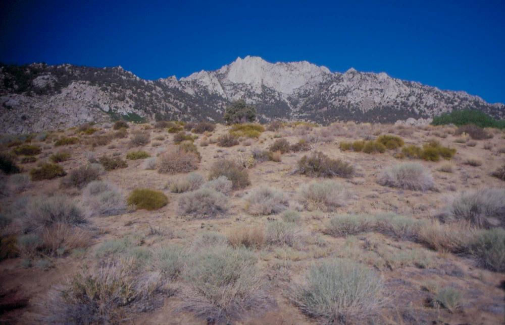 김차섭이 촬영한 국내외 풍경 사진