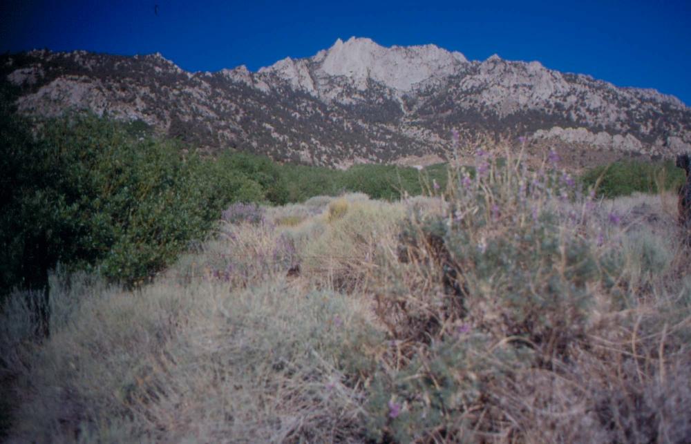 김차섭이 촬영한 국내외 풍경 사진