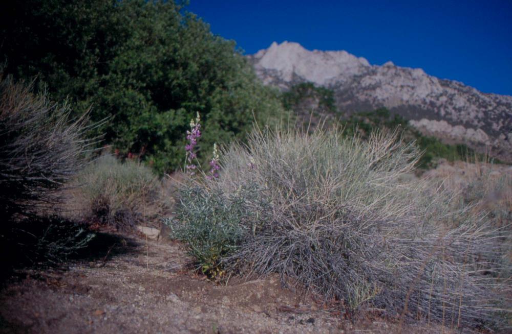 김차섭이 촬영한 국내외 풍경 사진