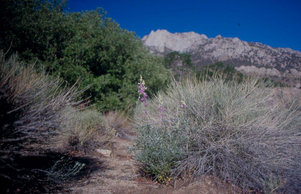 김차섭이 촬영한 국내외 풍경 사진