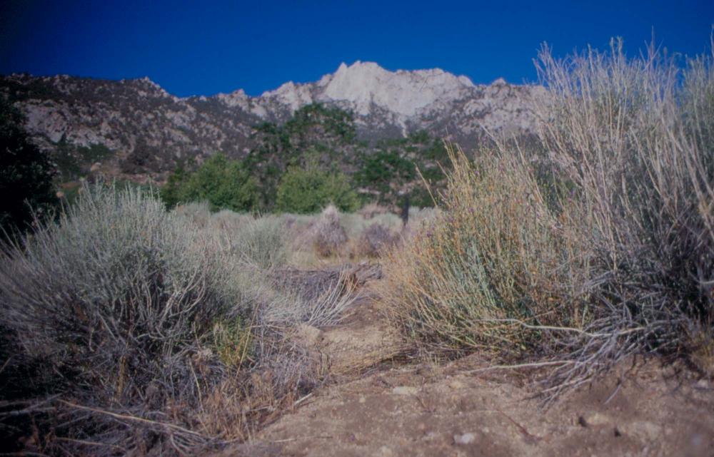 김차섭이 촬영한 국내외 풍경 사진