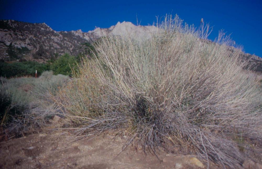 김차섭이 촬영한 국내외 풍경 사진