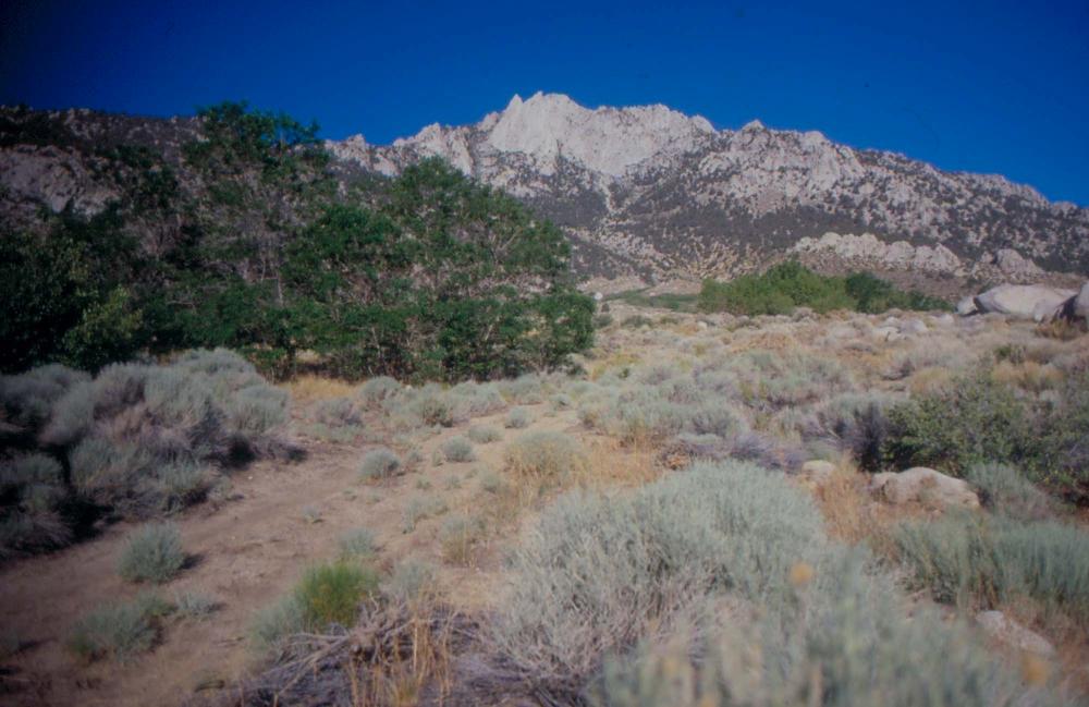 김차섭이 촬영한 국내외 풍경 사진
